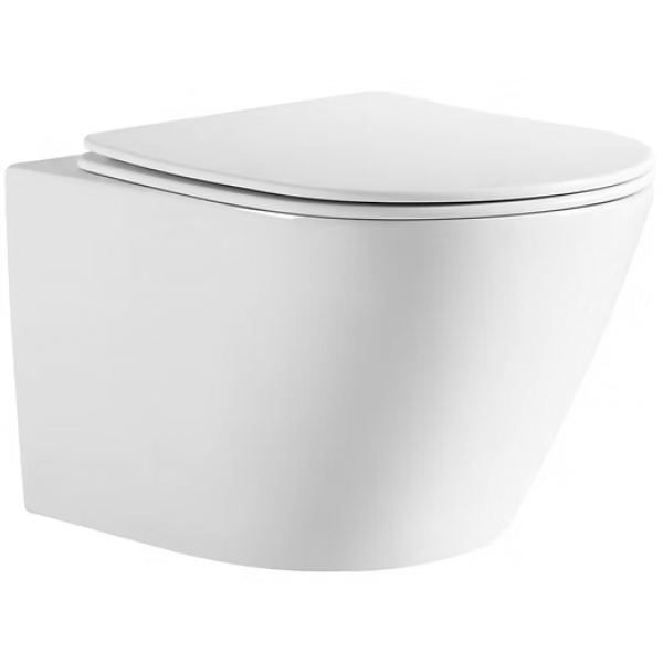 Richford R320WH 掛牆式座廁 - 無邊圈設計、強勁沖水、簡約現代